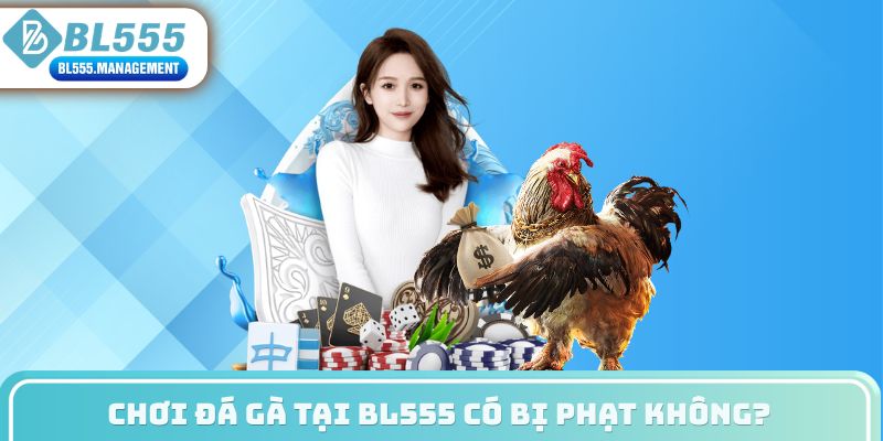 Chơi đá gà tại BL555 có bị phạt không?