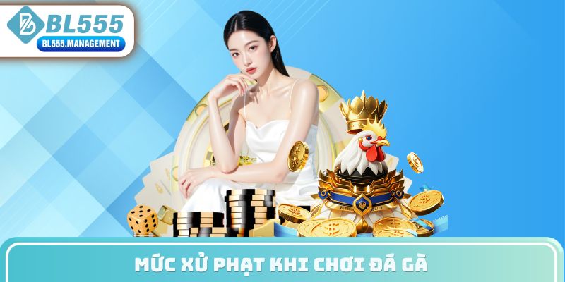 Mức xử phạt khi chơi đá gà